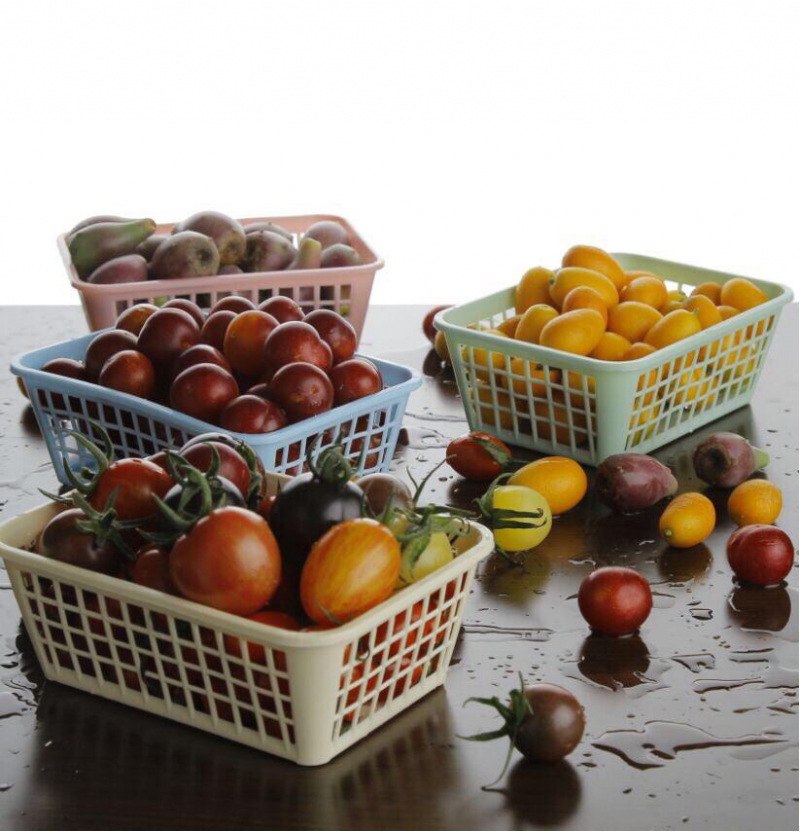 فروش عمده سبد همه کاره