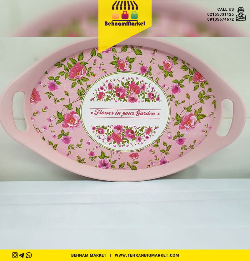 سینی بیضی متوسط رایکا