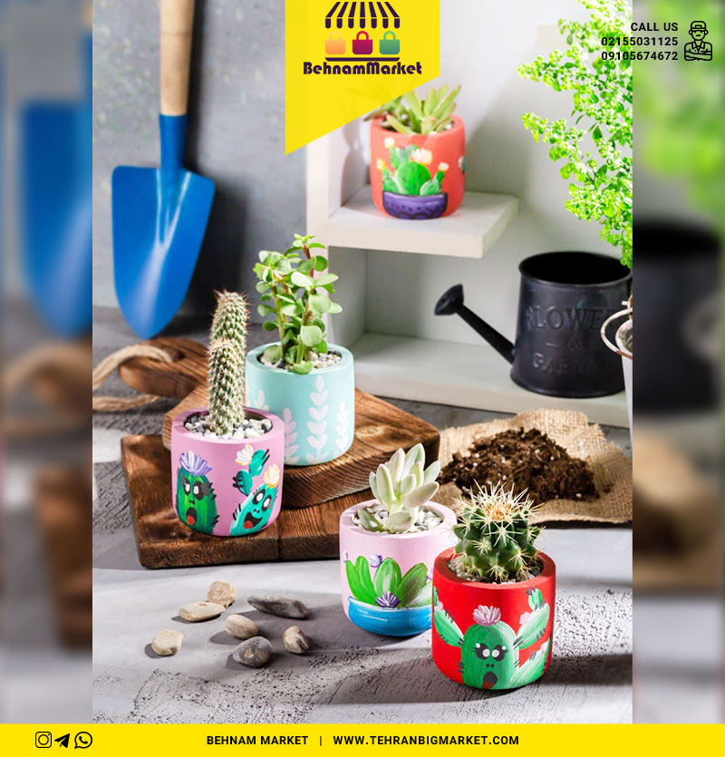 گلدان طرح كاكتوس