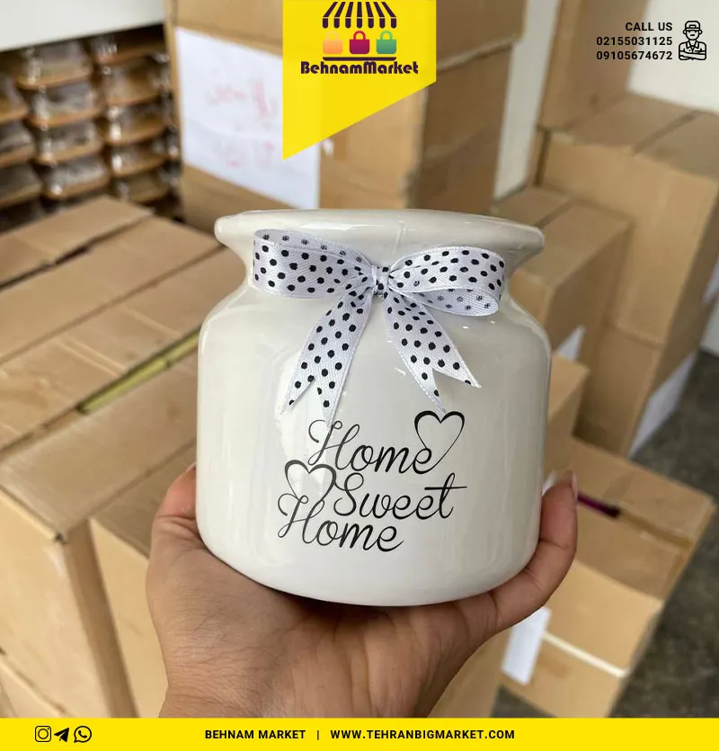 گلدان ایلا مینی