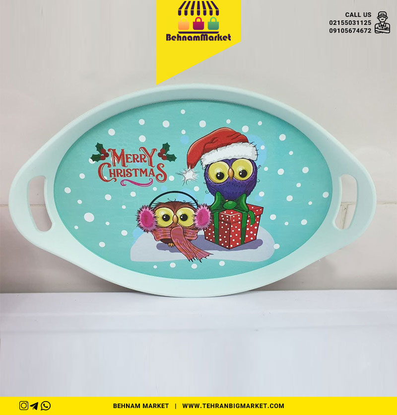 سینی بیضی کوچک رایکا
