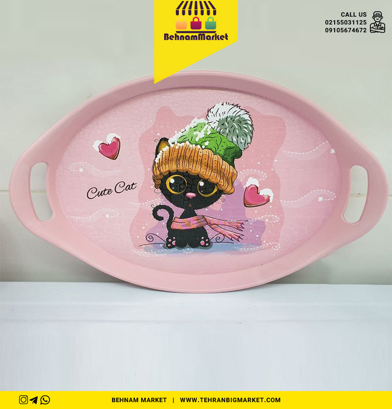 سینی بیضی کوچک رایکا