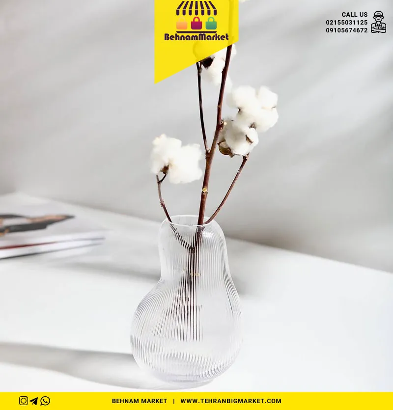 گلدان اسکواش