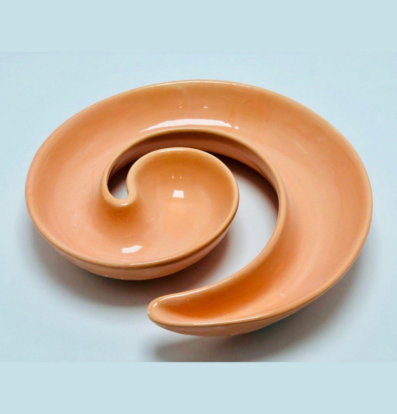 اردوخوری حلزونی رنگی