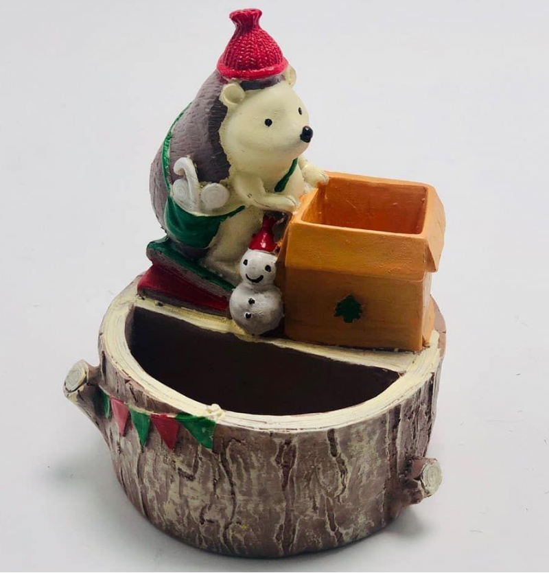 گلدان جوجه تیغی